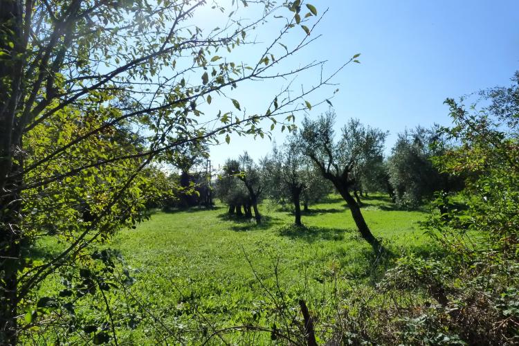 Roma Via Nomentana Agricultural Land of 85 hectares