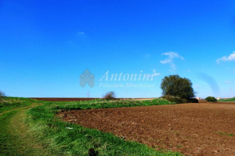 Agricultural land for sale 90 hectares Via Nomentana Rome